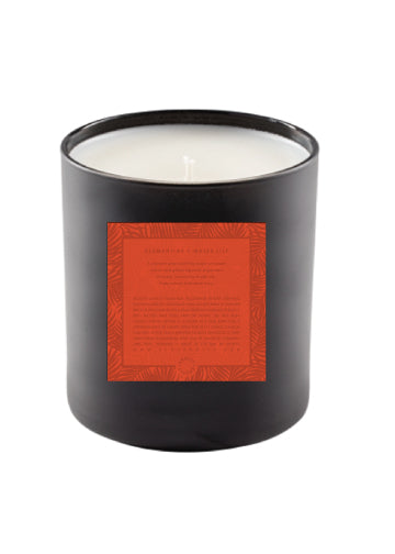Soy Candle | Clementine + Water Lily - Knotty